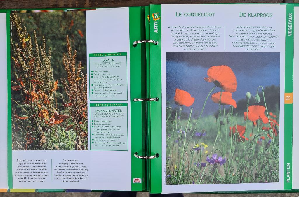 4 mappen: leerrijke fiches in Nederlands en Frans -zie info, Boeken, Ophalen