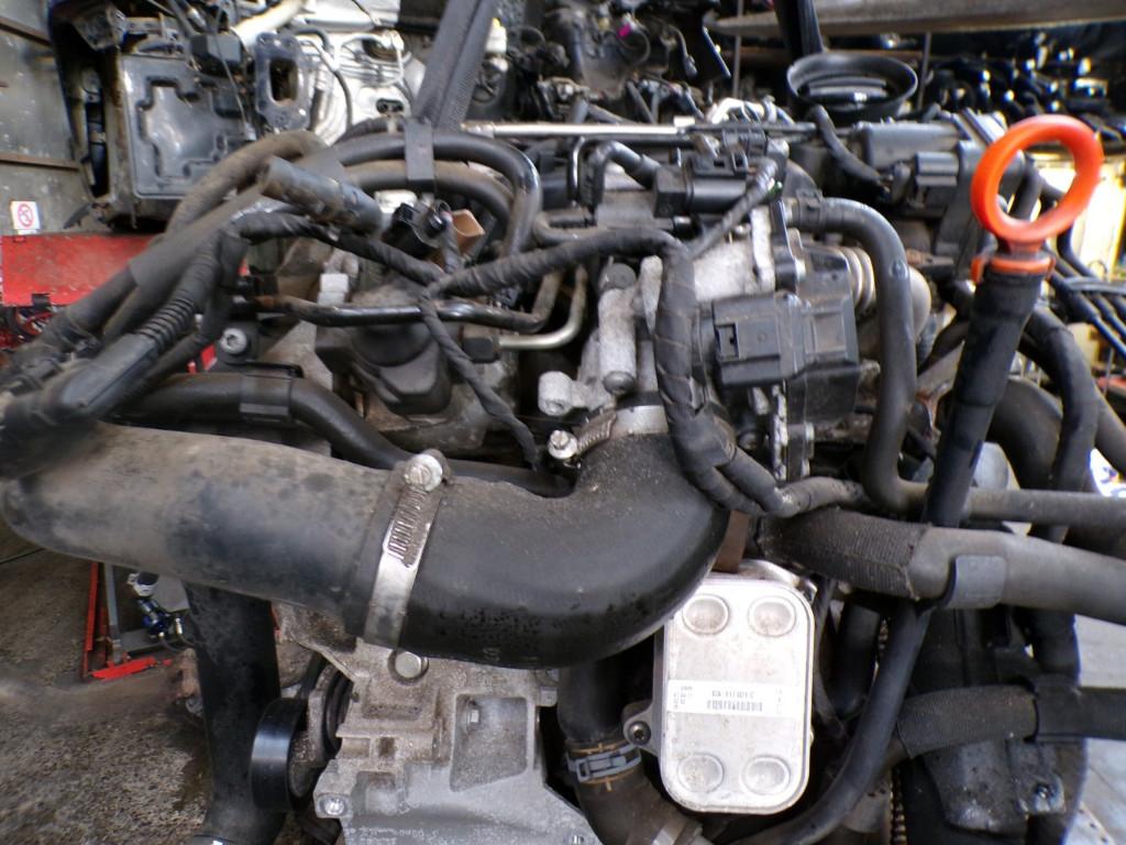 Moteur Volkswagen Polo 5 1.2TDi 55kw CFWA 2009-2014 LP/15345, Enlèvement, Utilisé, Volkswagen