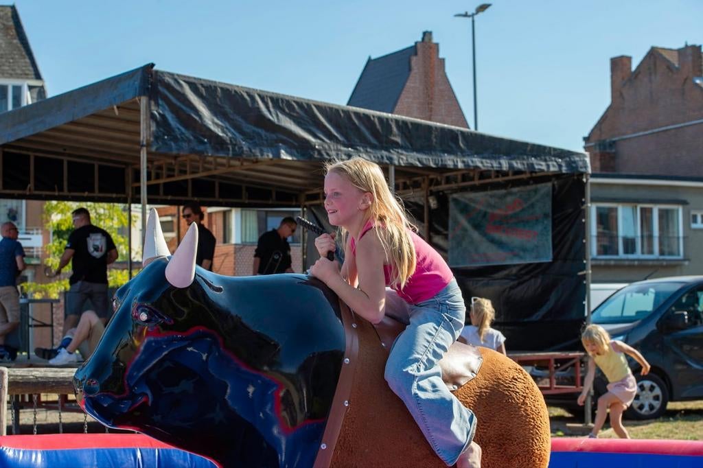 250€ INCL BTW     RODEO STIER  MECHANISCHE, Créatif ou Éducatif