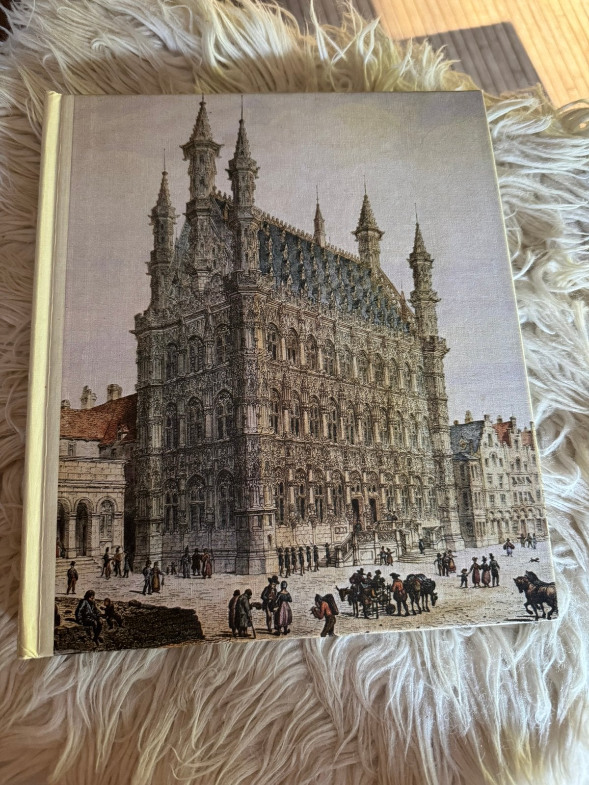 Boek: Leuven, Boeken, Ophalen of Verzenden