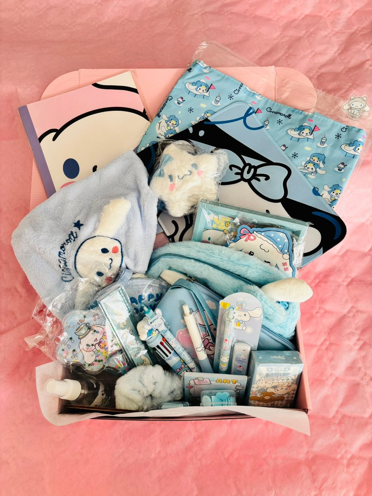 Box Cinnamoroll – Papeterie et beauté kawaii ️, Enlèvement ou Envoi, Neuf