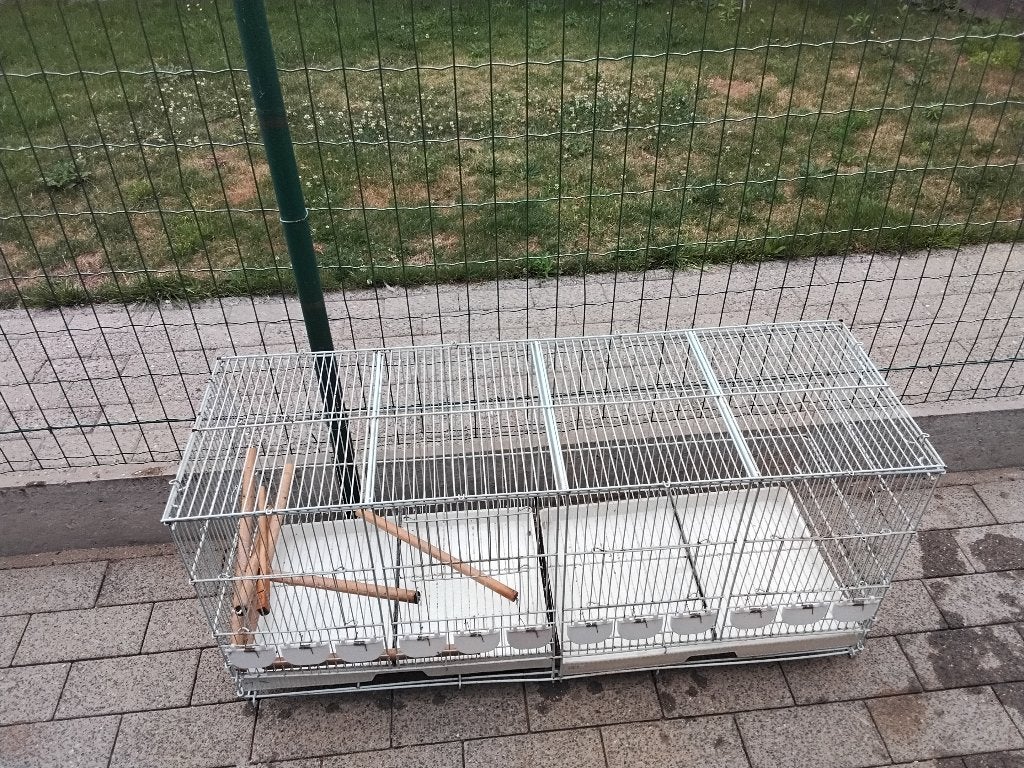 Draad  kooi vogels, Dieren en Toebehoren, Ophalen, Gebruikt, Metaal