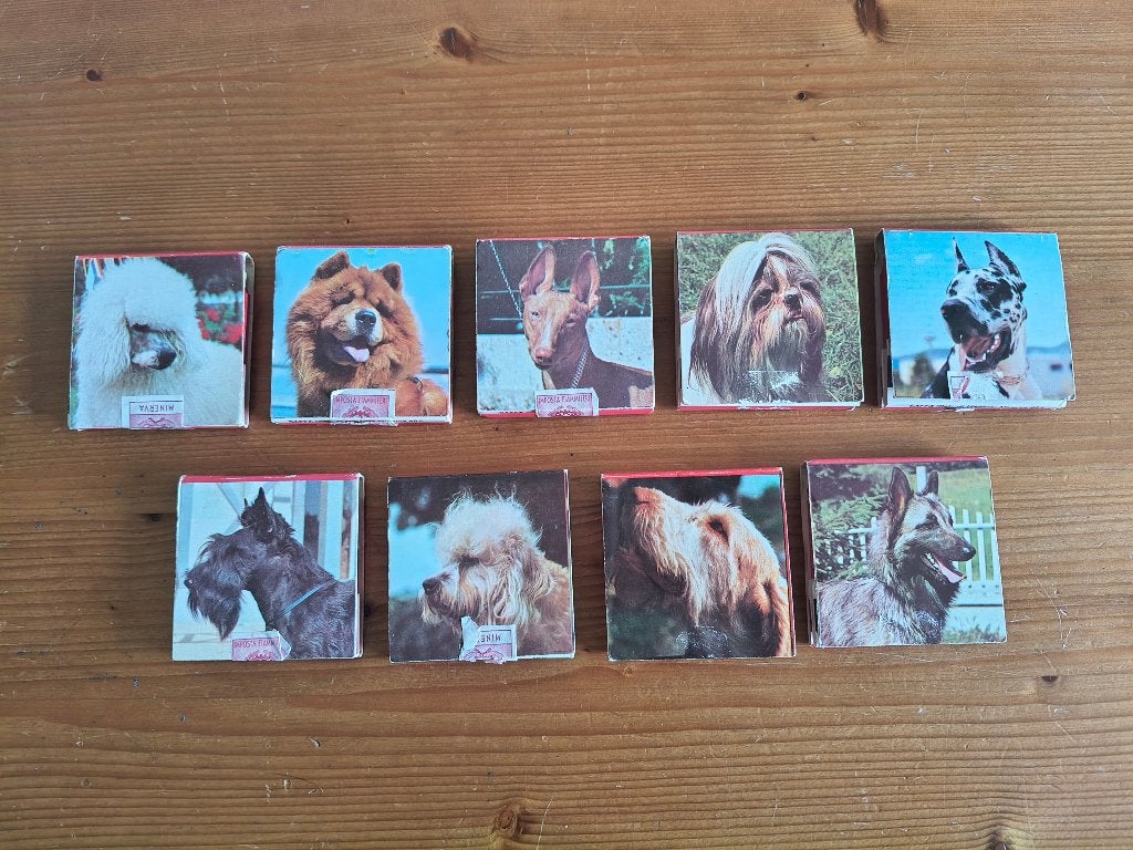 Lot luciferdoosjes Saffa Minerva - serie honden, Enlèvement, Comme neuf, Boîtes ou marques d'allumettes