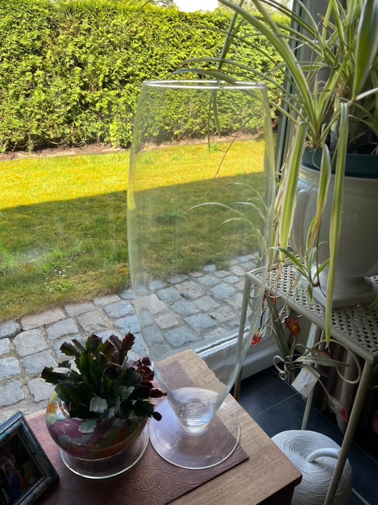 Grote, ronde vaas, Huis en Inrichting, Woonaccessoires | Vazen, Ophalen, Zo goed als nieuw, Glas