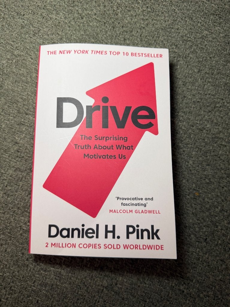 Boek Drive - Daniel H. Pink, Boeken, Ophalen of Verzenden, Nieuw, Hogeschool, Daniel h. Pink