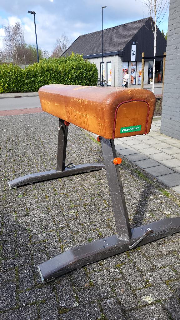 Turnpaard, Sport en Fitness, Ophalen, Gebruikt