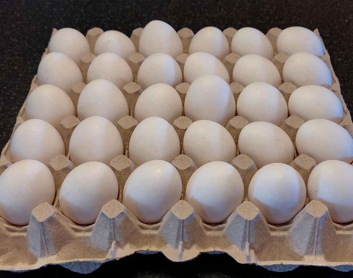Bio-eitjes van eigen kippen, Ophalen