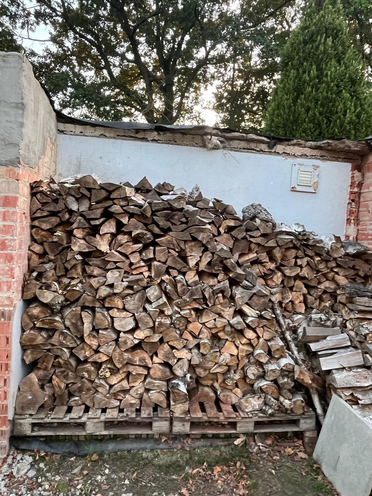 Bois de chauffage en bouleau - sec - clivé - 35/40 cm, Jardin & Terrasse, Bois de chauffage, Enlèvement, Bouleau