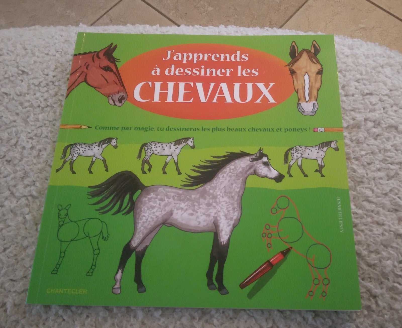 J apprends à dessiner les chevaux, Neuf, Garçon ou Fille, Enlèvement, Editions Chantecler