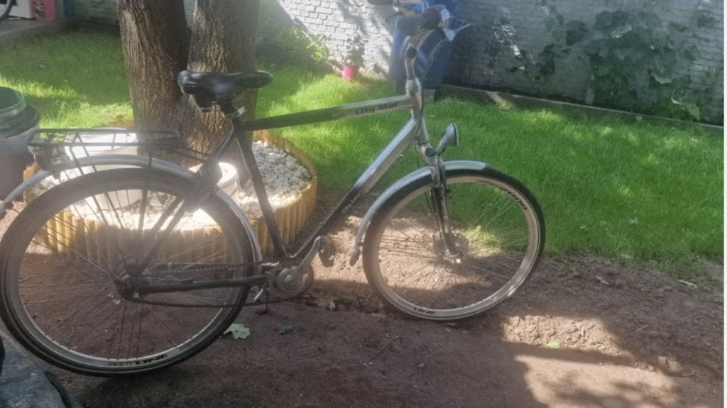 herenfiets City STAR, Autres marques, Vitesses, Frein sur jante, Enlèvement