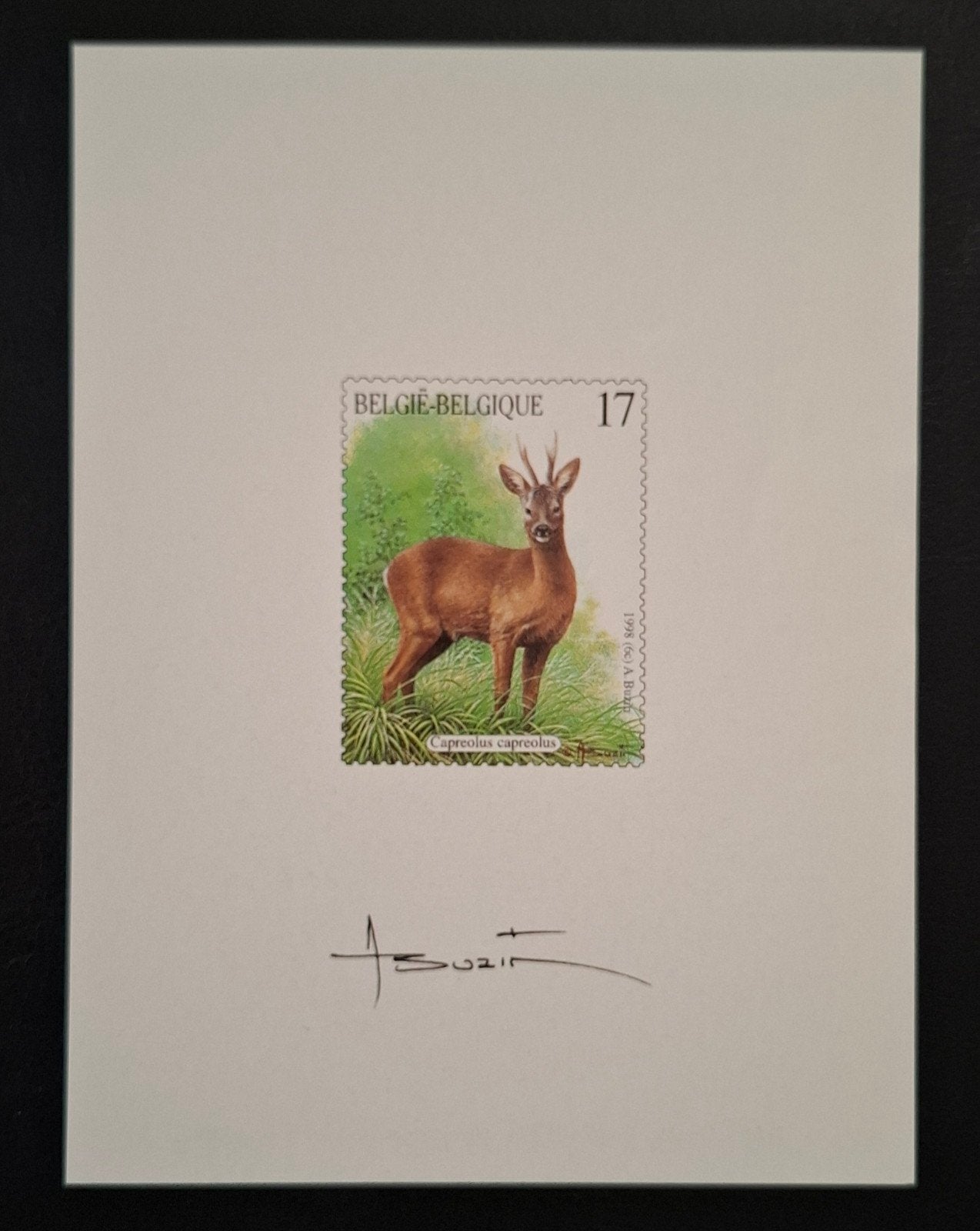 Belgique : COB NA 5-NL ** Nature 1998., Timbres & Monnaies, Sans timbre, Enlèvement ou Envoi, Sans gomme, Non oblitéré