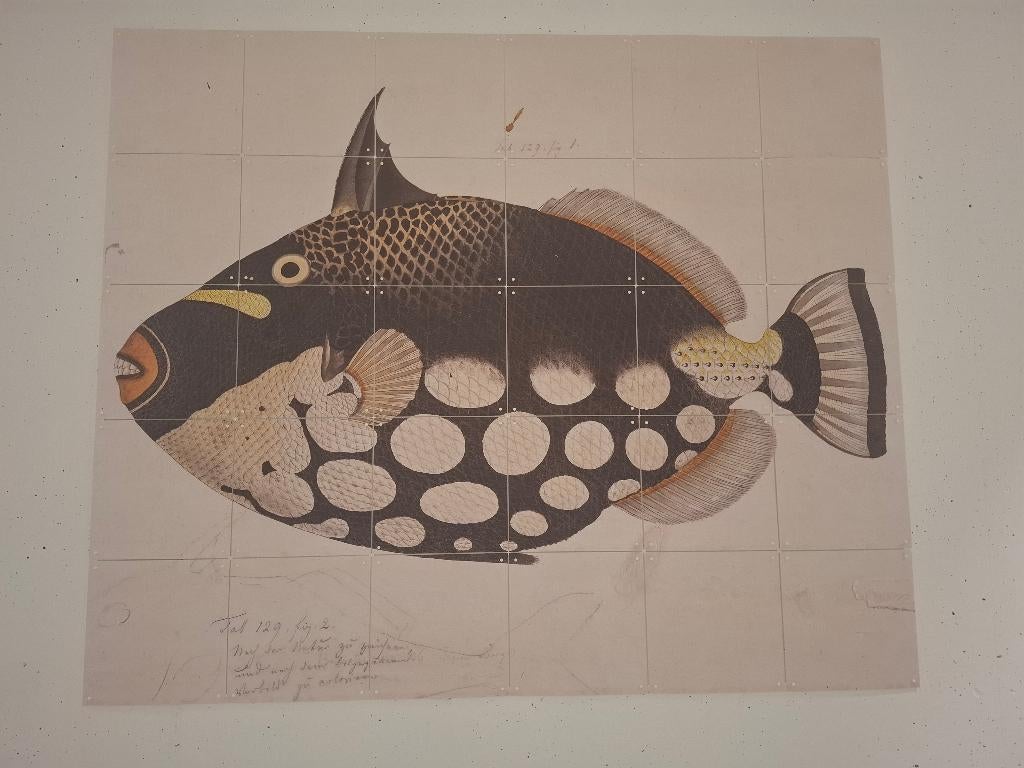 Wanddecoratie black fish KawaharaKeiga IXXI, Huis en Inrichting, Ophalen, Zo goed als nieuw, Met ophangsysteem