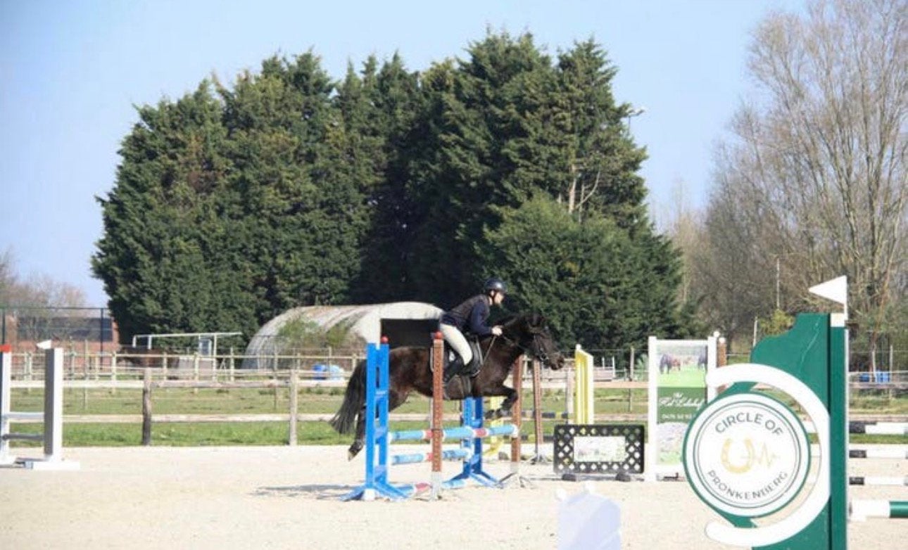 Poney C à vendre, Poney C (1.27 m à 1.37m), B, Poney de récréation, Jument