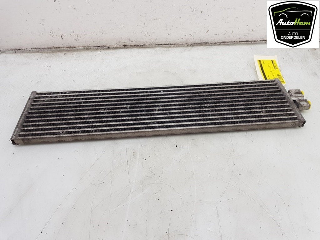 RADIATEUR BMW X5 (F15) (01-2013/07-2018) (|17117646751|), Gebruikt, BMW