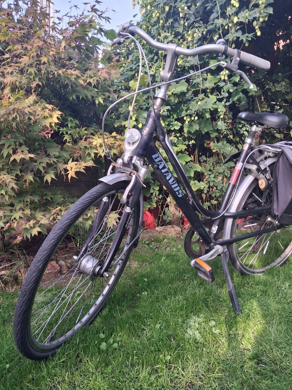 fiets BATAVUS, Vitesses, Batavus, 53 à 56 cm, Enlèvement