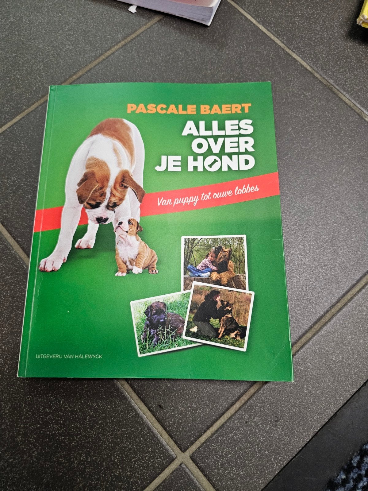 Alles over honden, Boeken, Schoolboeken, Ophalen