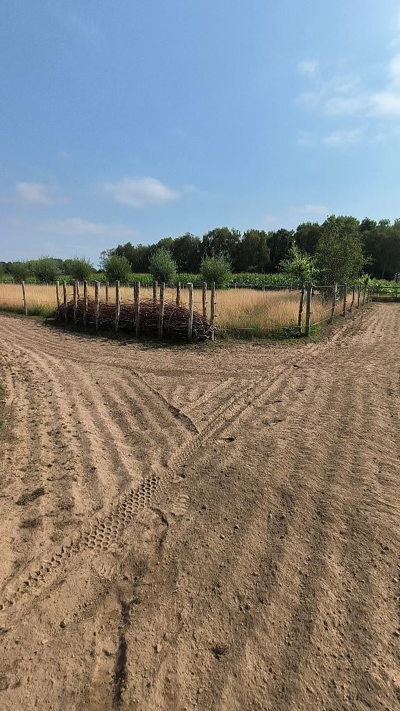 Weide - Paddock paradise - Equihabitat te koop, Dieren en Toebehoren, Weidegang, 4 paarden of pony's of meer