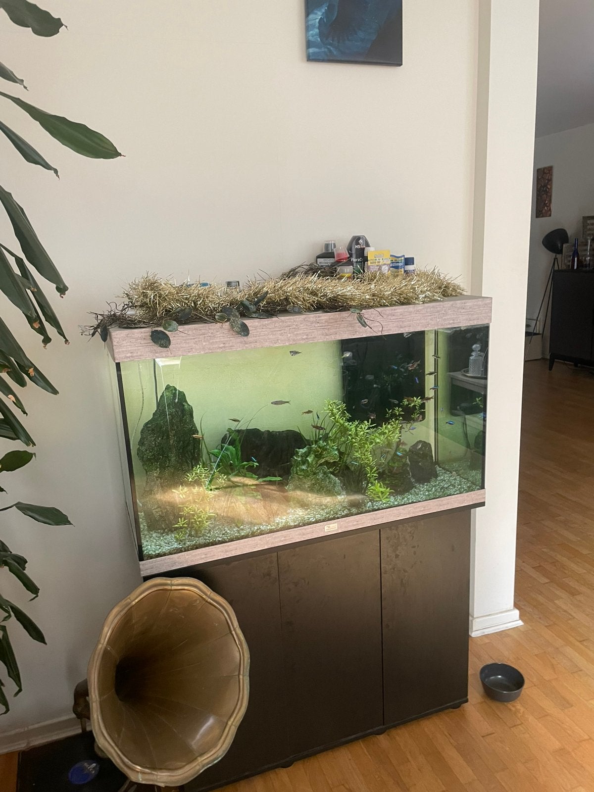 Aquarium met onderstel, Ophalen, Zo goed als nieuw, Filter