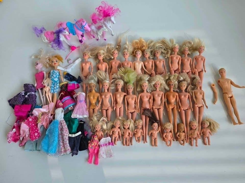 Groot pakket Barbie, Enfants & Bébés, Enlèvement ou Envoi, Utilisé, Barbie