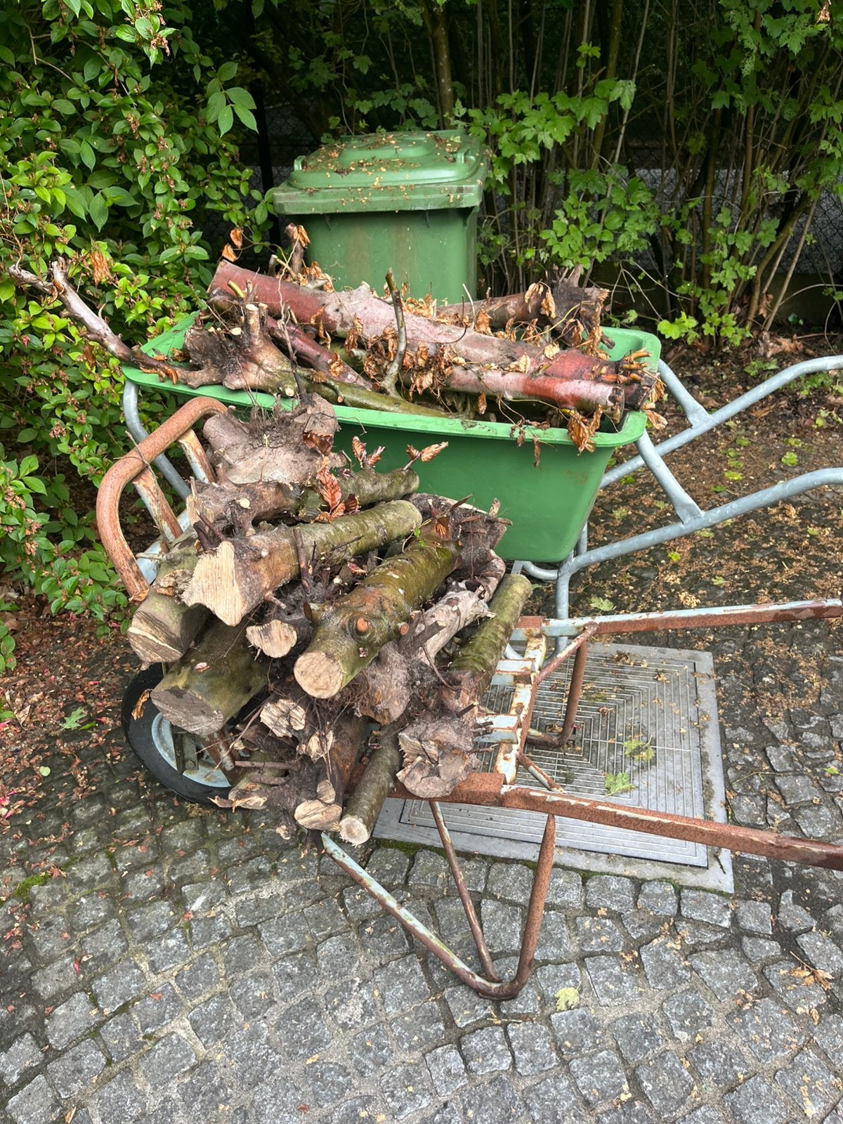 Gratis brandhout, Minder dan 3 m³, Ophalen, Beukenhout, Stammen