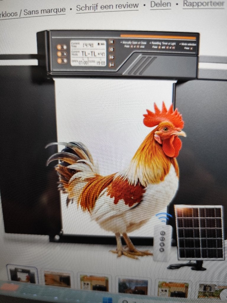 Automatisch kippenluik, Dieren en Toebehoren, Ophalen, Nieuw, Overige typen