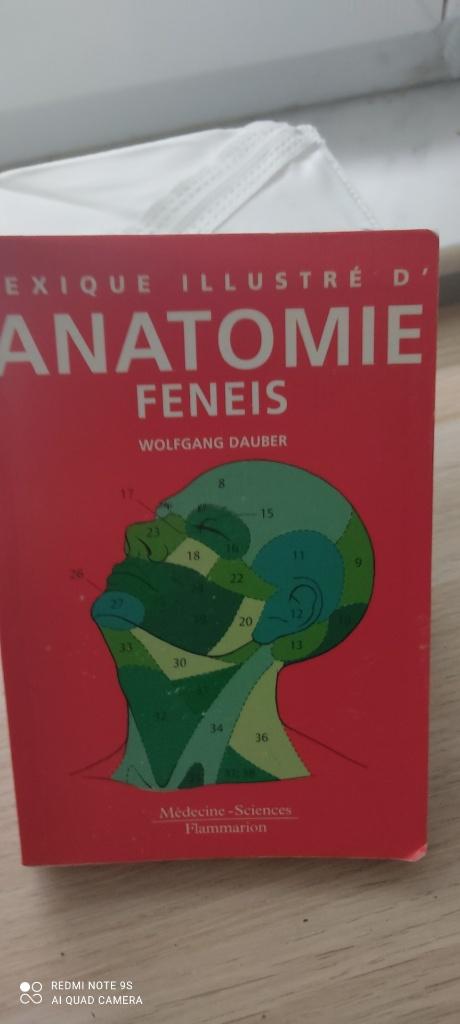 Flammarion - Lexique illustré d'Anatomie FENEIS, Gelezen, Overige wetenschappen, Flammarion, Ophalen of Verzenden