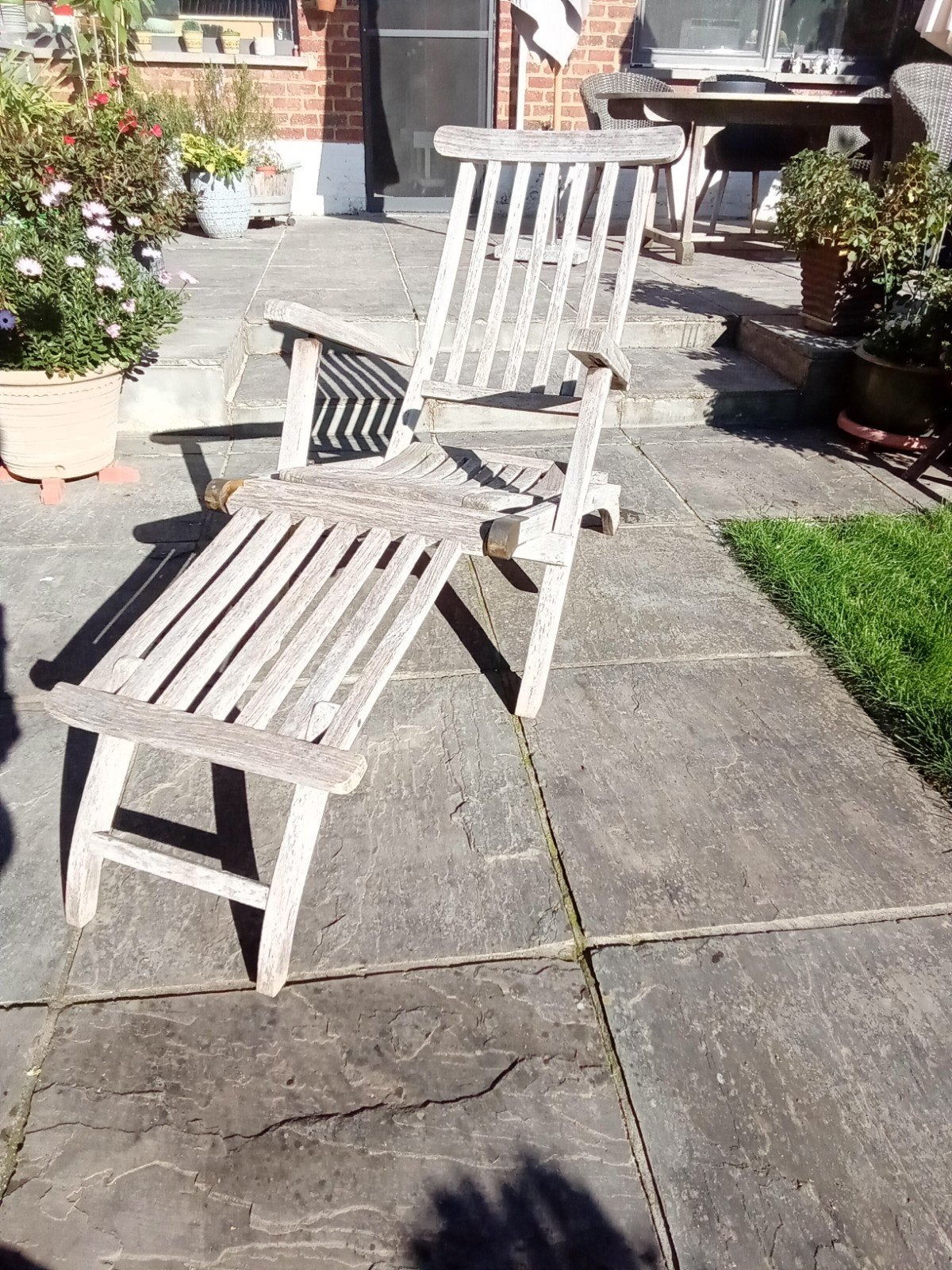 teak ligzetel, Ophalen