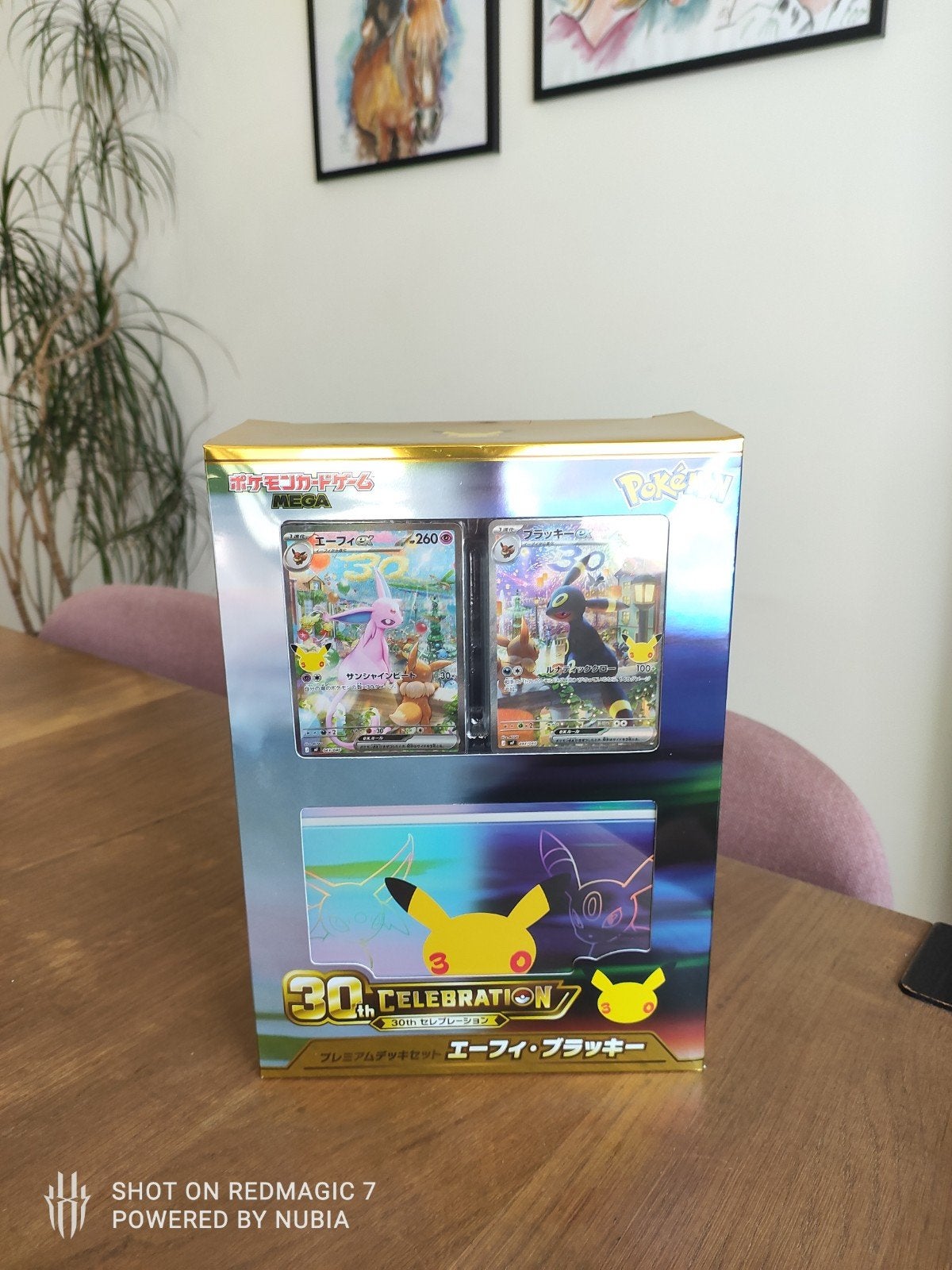 pokemon espion & umbrion 30 cell, Enlèvement