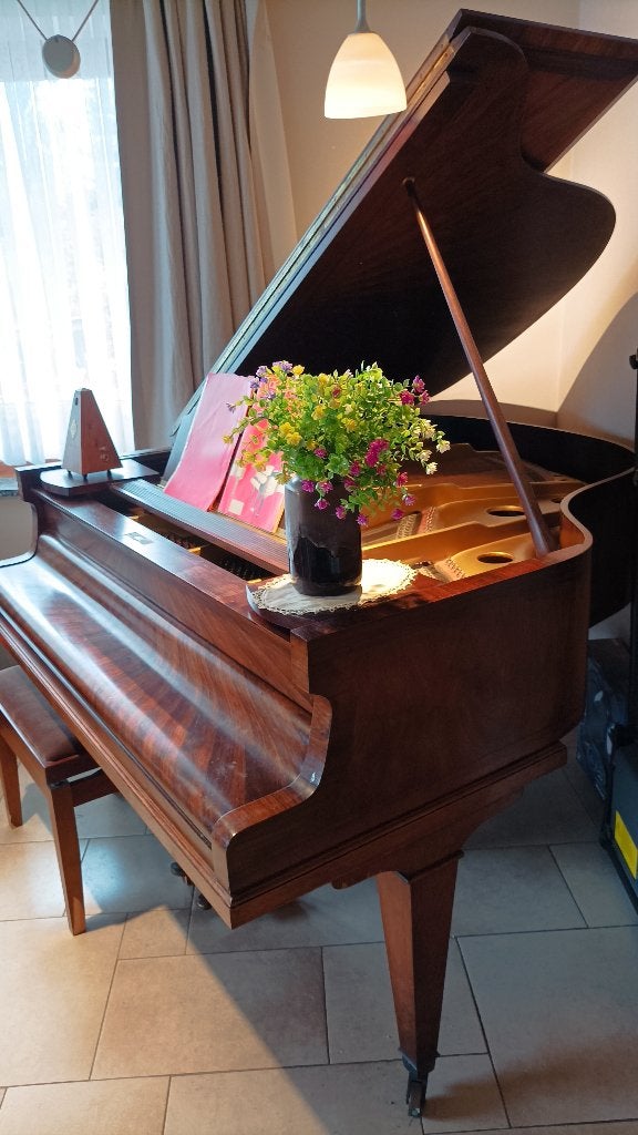 Piano crapaud/quart queue, Enlèvement, Utilisé, Brun, Piano