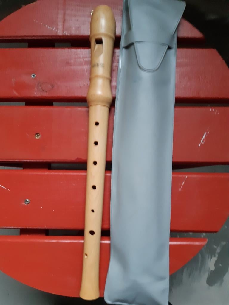 ENREGISTREUR avec étui, Musique & Instruments, Instruments à vent | Flûtes à bec, Enlèvement ou Envoi, Comme neuf, Autres types
