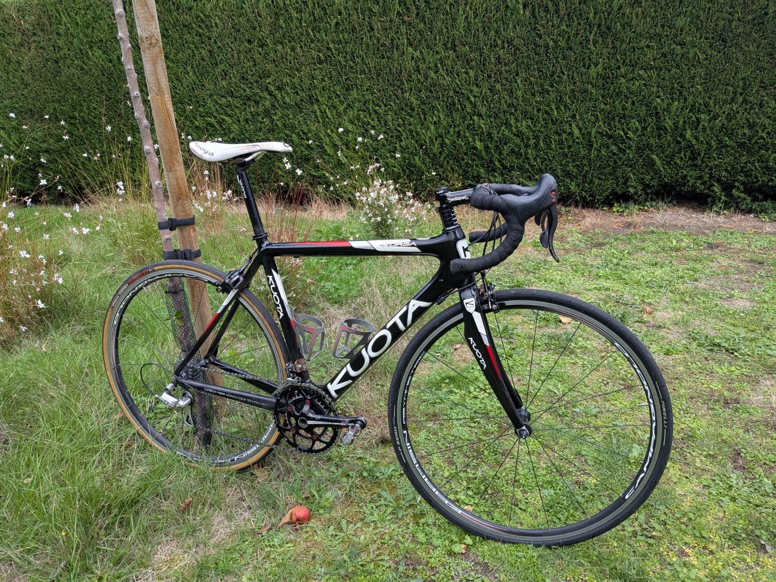 Kuota Korsa - campagnolo - maat 55 - velgrem, Fietsen en Brommers, Ophalen of Verzenden, Carbon, Velgrem