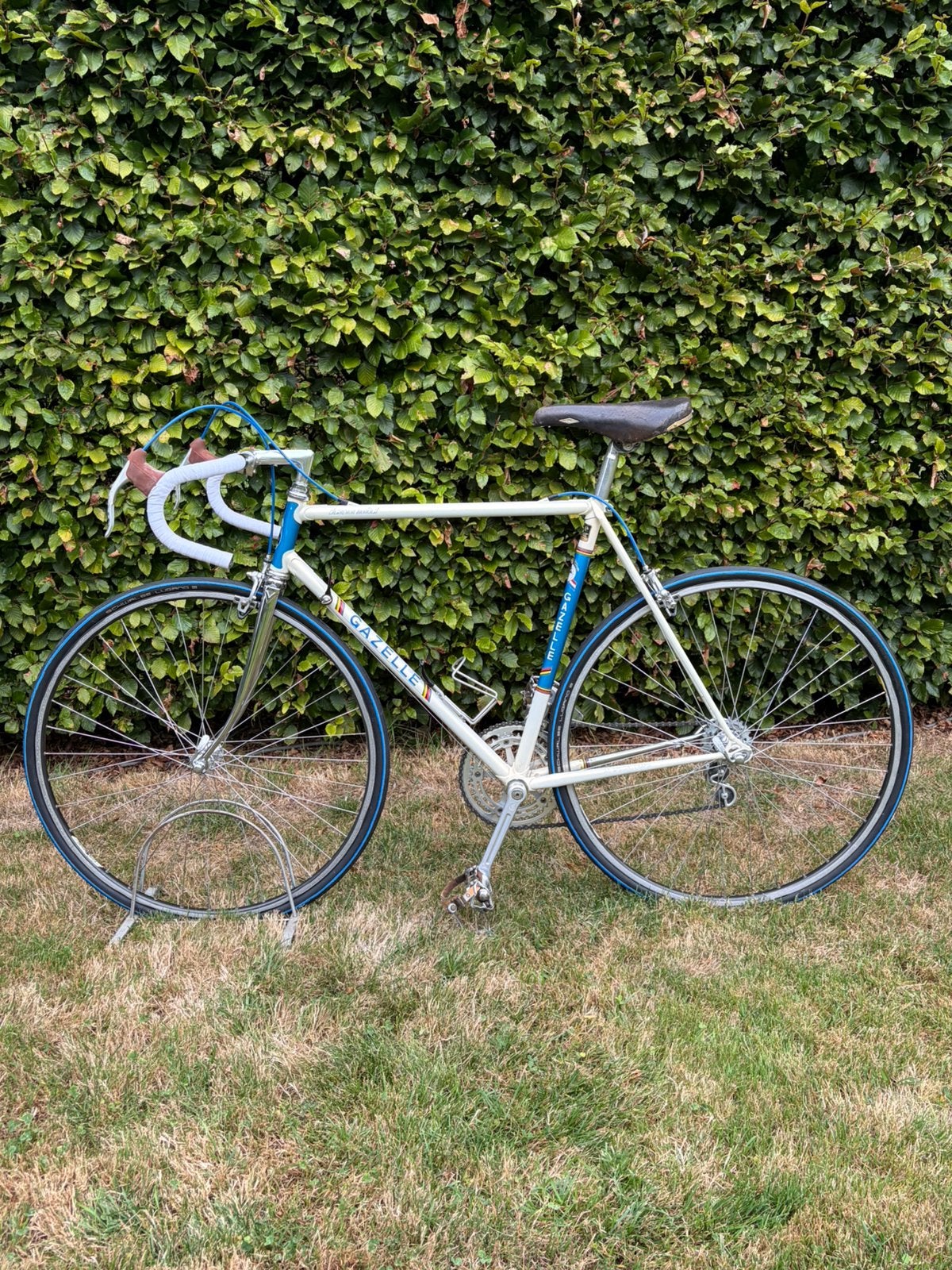 Gazelle champion mondial AA special, 55 tot 59 cm, Ophalen, Velgrem