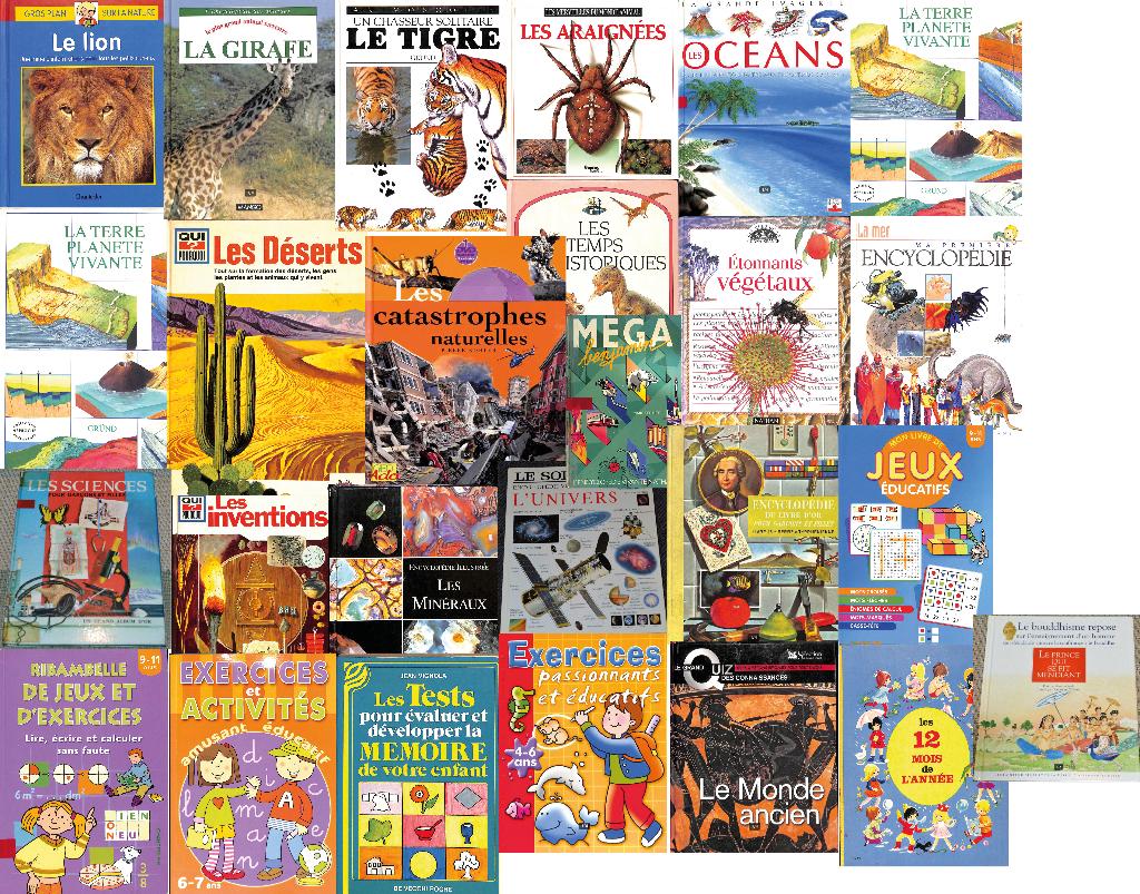 Boeken — Jeugd en onderwijs, Ophalen of Verzenden, Gelezen