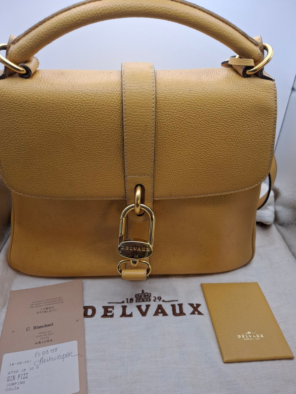 Colza Delvaux Gin Fizz Jumping, Enlèvement ou Envoi, Utilisé, Sac à main