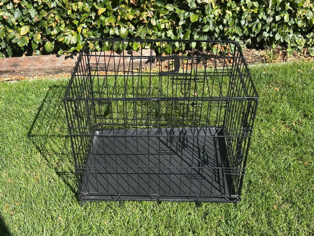 Des trucs pour chiens, Enlèvement, Utilisé