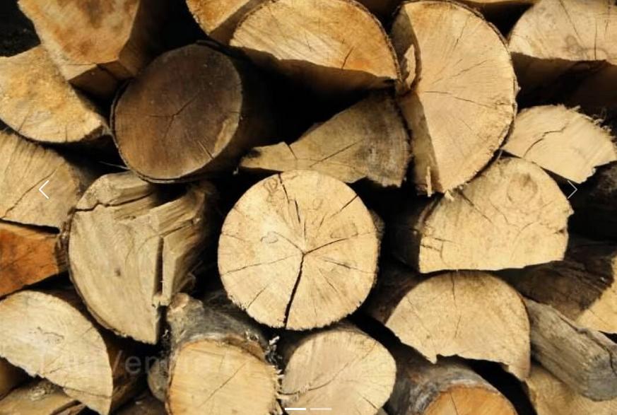 Bois de chauffage en 35cm bois dur sec de 2 ans, Enlèvement, Bûches