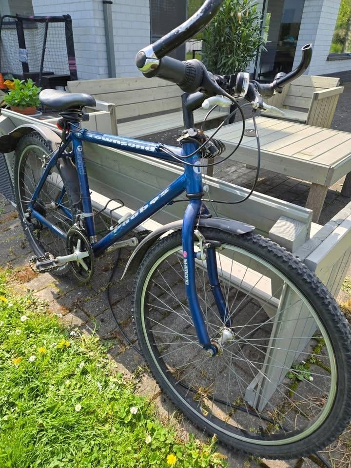 Vélo de montagne pour hommes, Autres marques, Vitesses, 65 cm ou plus, Enlèvement