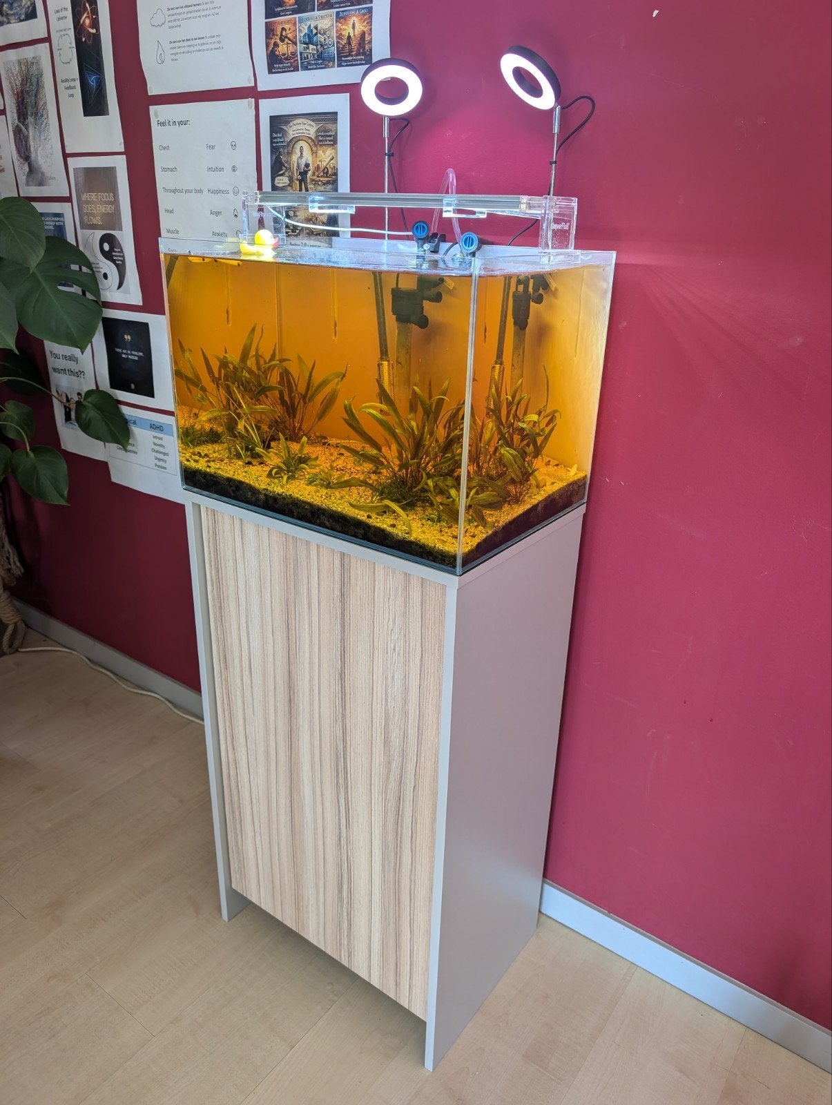 60 liter aquarium met kast en toebehoren, Dieren en Toebehoren, Ophalen, Gebruikt, Aquariummeubel, Inclusief slangen