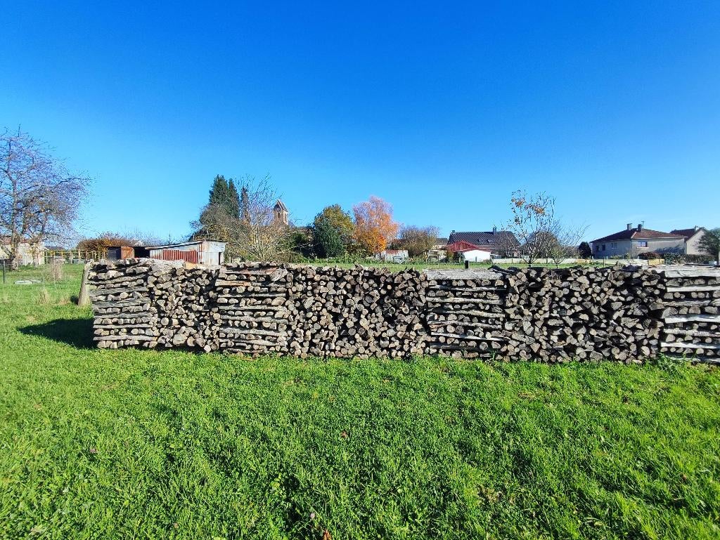 Vends bois de chauffage, 6 m³ ou plus, Enlèvement, Chêne, Bûches