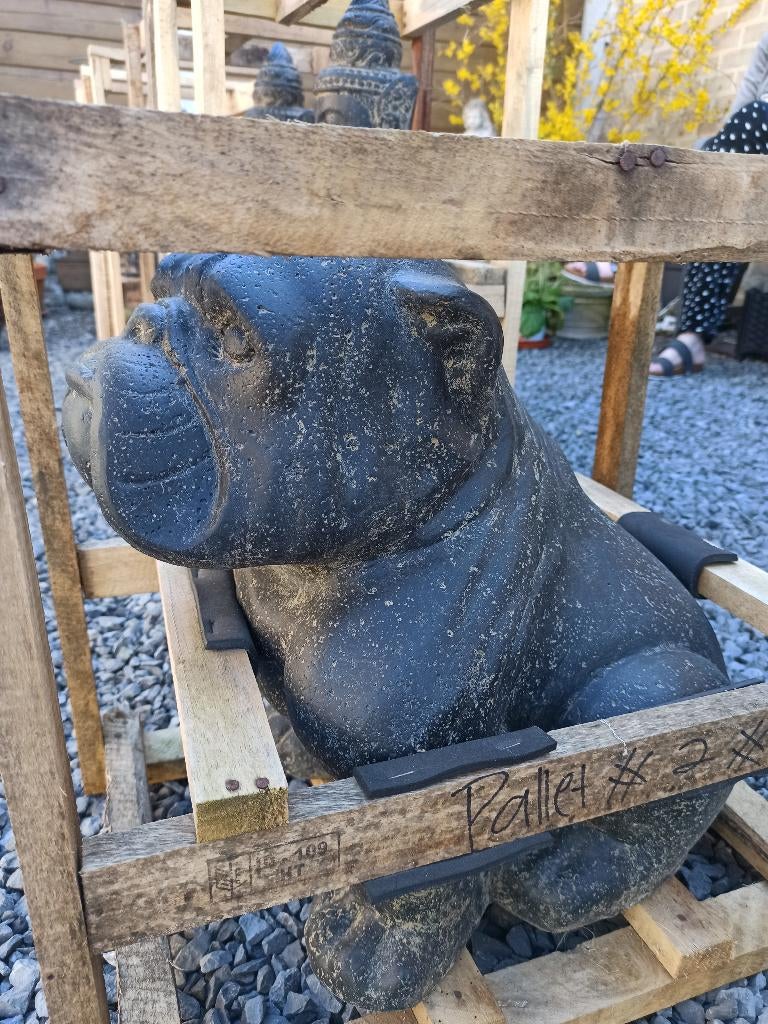 bulldog in steen, Ophalen, Nieuw, Steen, Dierenbeeld