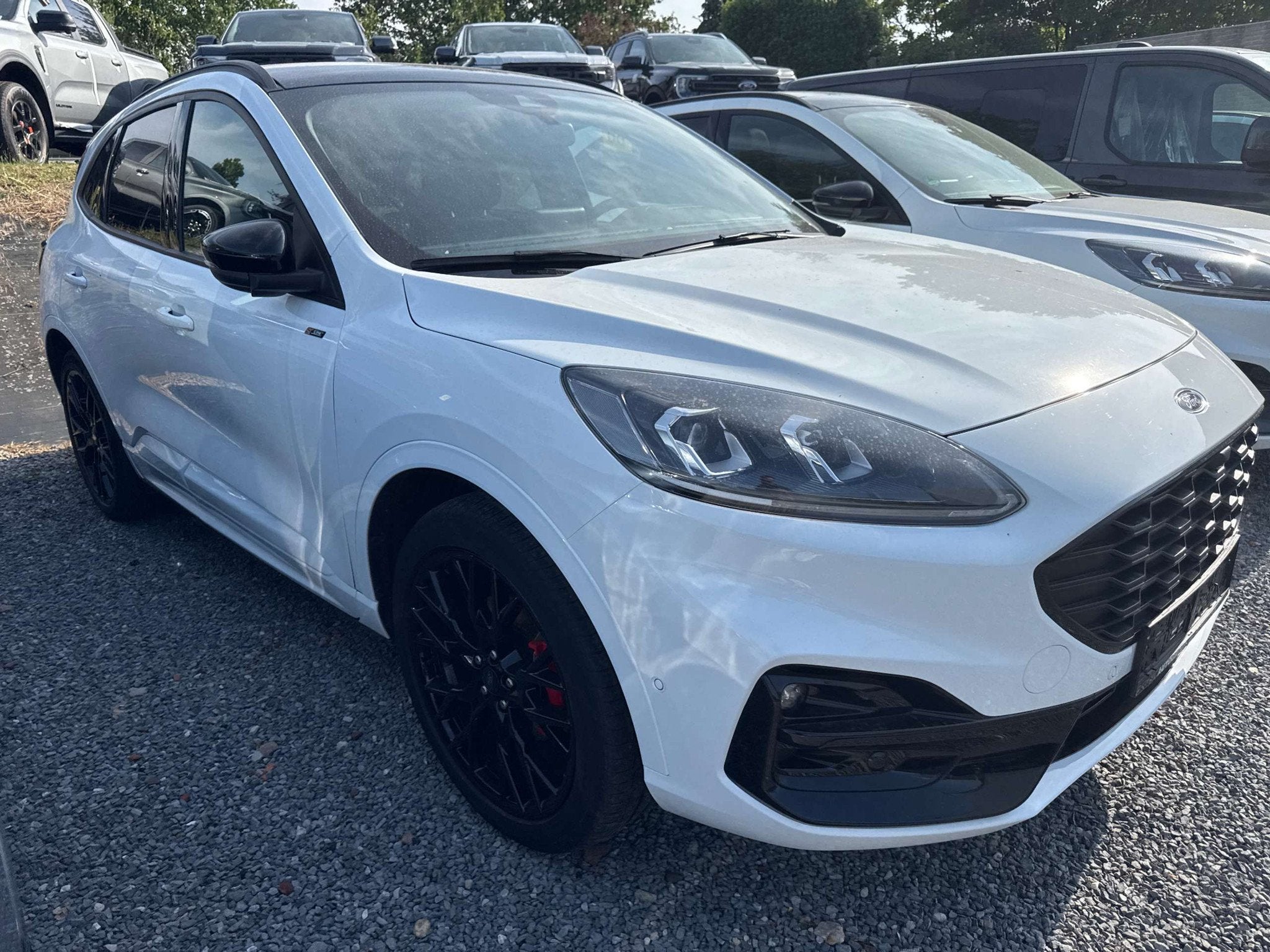 Ford Kuga ST-LINE X Frozen White / Black Pack met 20" Alu /, Autos, Ford, Achat, https://public.car-pass.be/vhr/c8506b49-e3f1-46ba-b277-14cedc65e4e3
