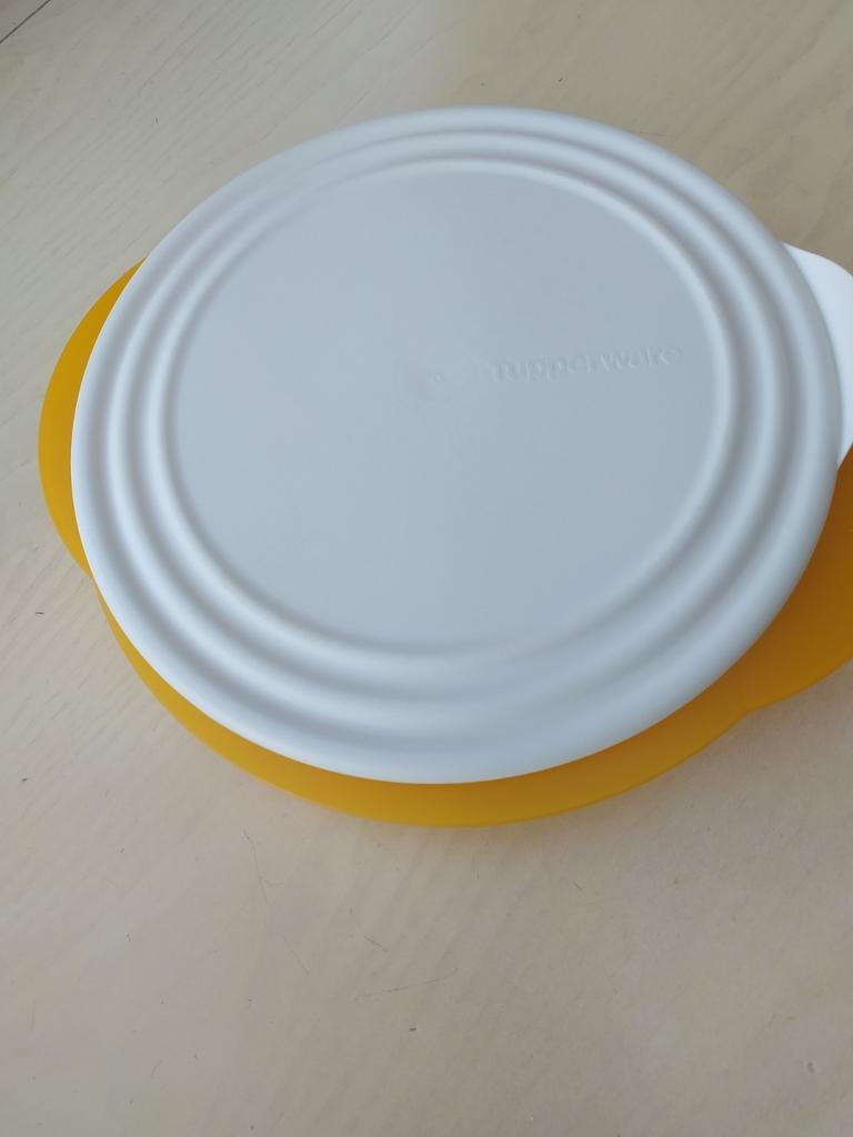 Platte doos met vergiet van tupperware, Ophalen