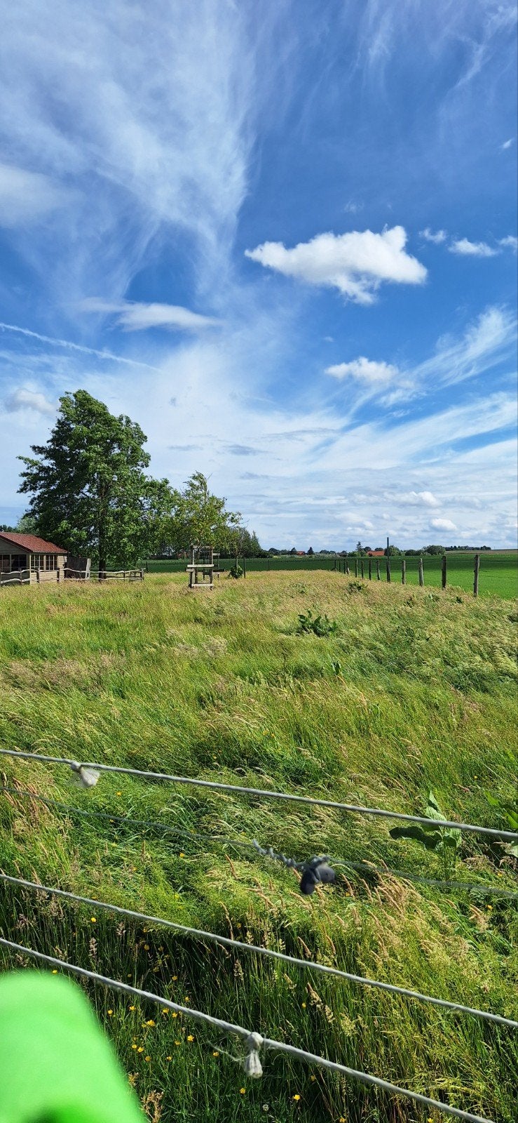 Paarden pension weide met schuilhok te Passendale