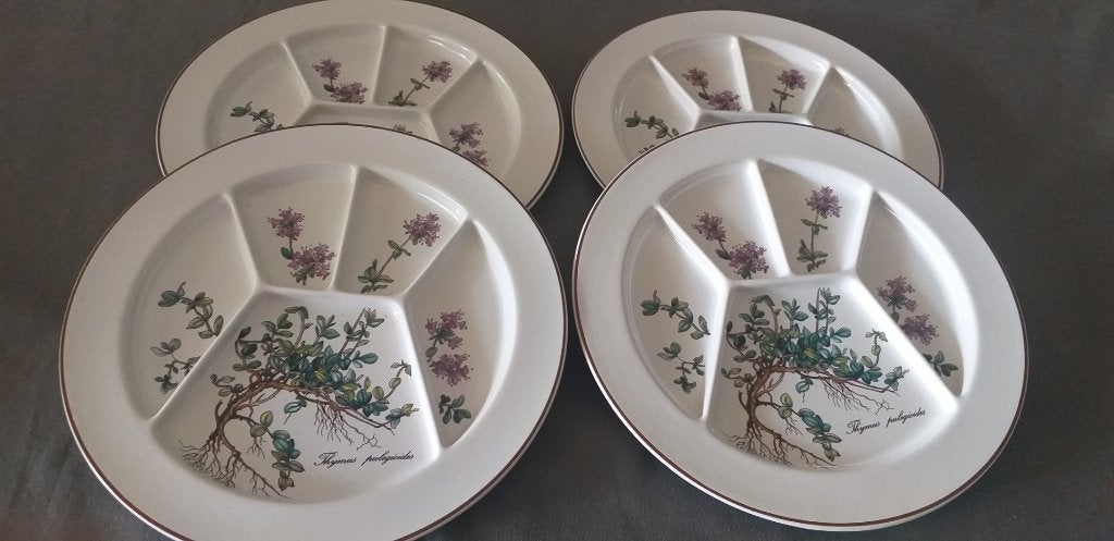 4 Fondueborden van Villeroy&Boch  Botanica, Huis en Inrichting, Villeroy & Boch, Vintage, Ophalen of Verzenden, Zo goed als nieuw