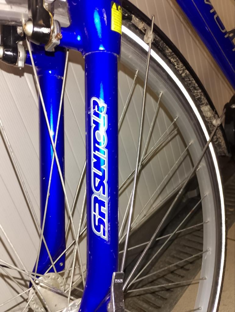 Vélo dame diamond, Enlèvement