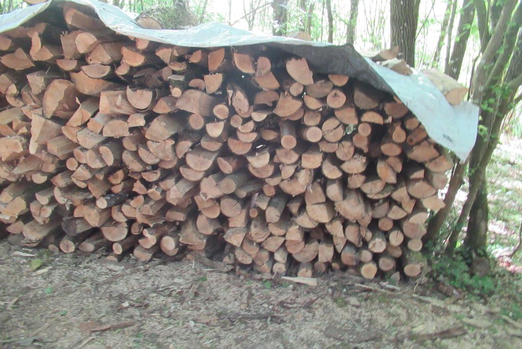bois de chauffage, Enlèvement, Frêne, Bûches
