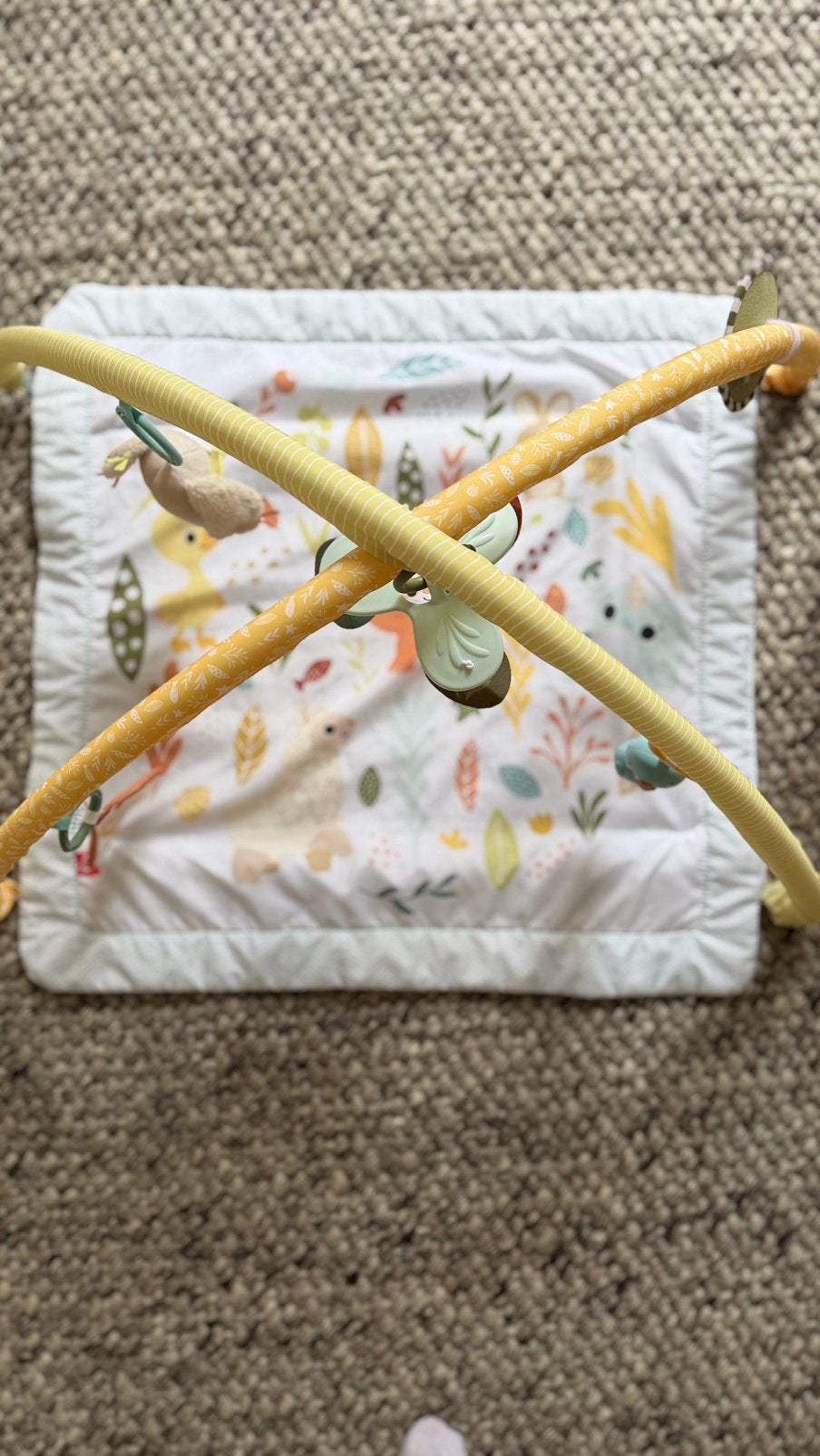 Fisher-Price Simply Senses speelmat, Ophalen, Zo goed als nieuw