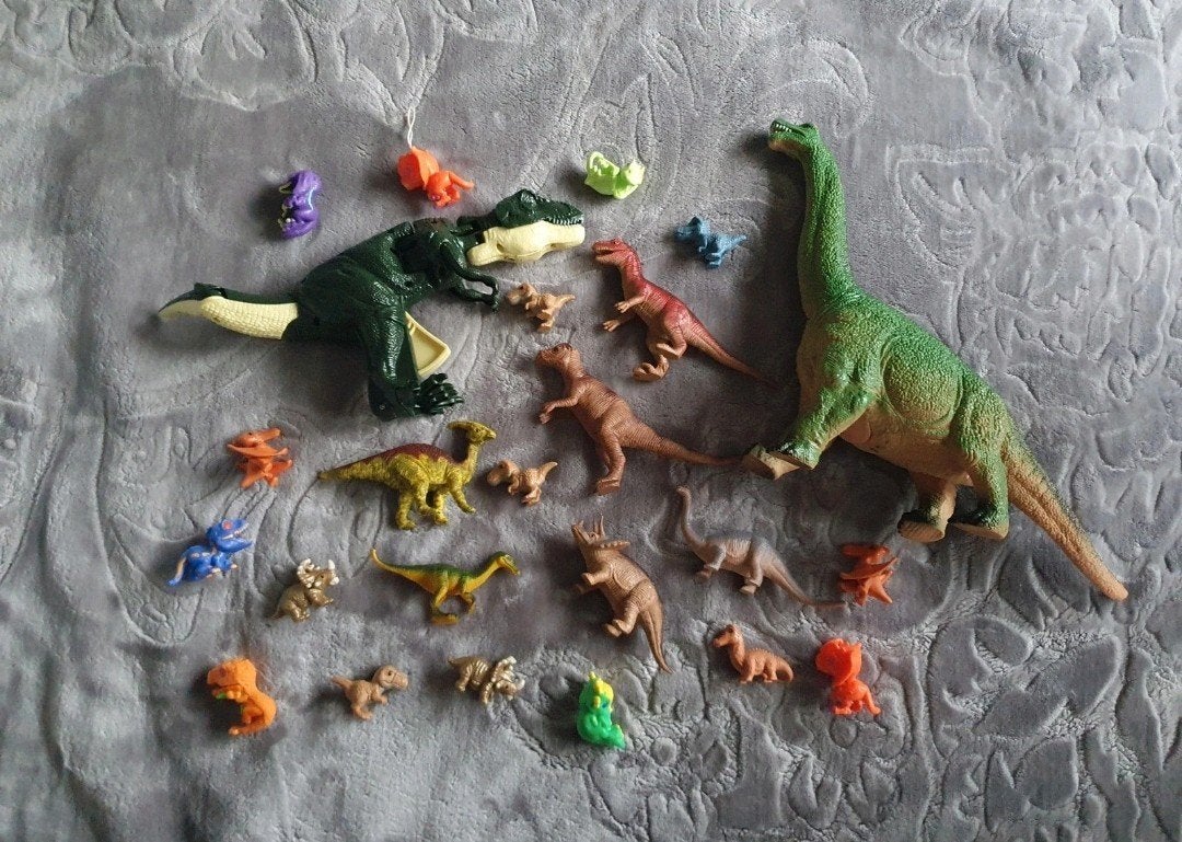 Lot dinosaures, Watersport en Boten, Ophalen