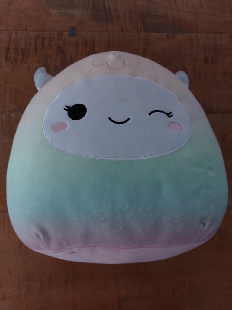 Regenboog squishmallow, Enlèvement, Squishmallow