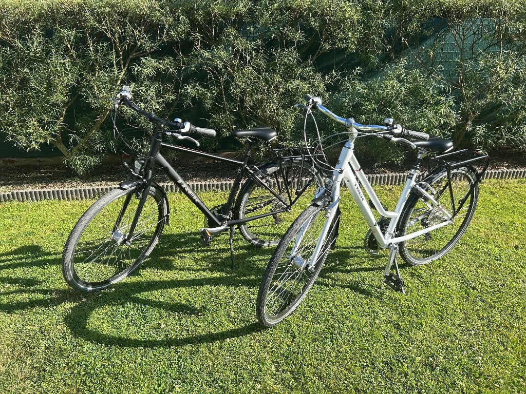 Fietsen, Ophalen, 45 tot 49 cm, Zo goed als nieuw, Dames